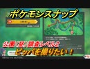 ポケモンスナップ　ビッパを撮りたい！　公園（昼）調査レベル２　【New ポケモンスナップ】