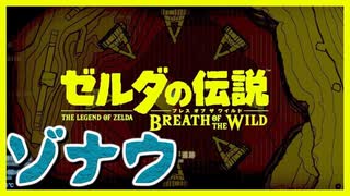 ゾナウ考察 [雷の台地のマーク] ブレスオブザワイルド ゼルダの伝説 スカイウォードソード