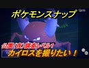 ポケモンスナップ　カイロスを撮りたい！　公園（夜）調査レベル１　【New ポケモンスナップ】