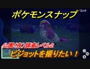 ポケモンスナップ　ピジョットを撮りたい！　公園（夜）調査レベル２　【New ポケモンスナップ】