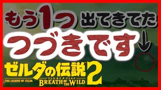 ゾナウ考察 ブレスオブザワイルド [巨大な骨たちの調査] ゼルダの伝説 厄災の黙示録