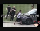 【ゆっくり朗読】ゆっくりさんと世界事件簿 その117
