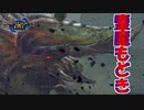 【実況】君は鏖魔ディアブロスにはなれません【モンスターハンターライズ】