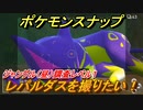 ポケモンスナップ　レパルダスを撮りたい！　ジャングル（昼）調査レベル１　【New ポケモンスナップ】