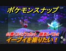 ポケモンスナップ　イーブイを撮りたい！　公園イルミナスポット調査レベル２　【New ポケモンスナップ】