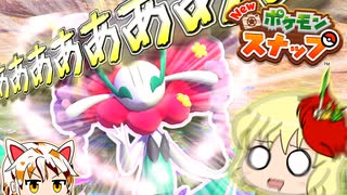 【Newポケモンスナップ】鶏と猫のポケモンウォッチング【ゆっくり実況】【単発？】
