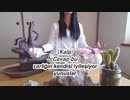 lotus çiçekleri hakkında蓮の花について（トルコ語）