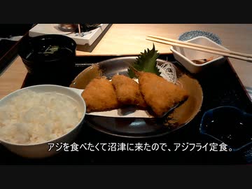 カーナビとスマホ無しで、沼津までドライブしてきた。