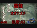 【実況】MHR#45　可愛い顔した奴が帰ってきた！