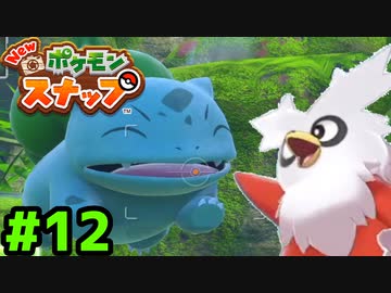 ポケモンスナップ まとめ