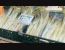 2021/04/30放送【28日目 山形 道の駅米沢の散策1】猫と車中泊　日本縦断　サイコロの旅　北海道にたどり着けるか？【旅猫あずき～保護猫から旅猫へ～】