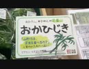 2021/04/30放送【28日目 山形 道の駅米沢の散策2】猫と車中泊　日本縦断　サイコロの旅　北海道にたどり着けるか？【旅猫あずき～保護猫から旅猫へ～】