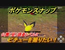 ポケモンスナップ　ピチューを撮りたい！　公園（昼）調査レベル２　【New ポケモンスナップ】
