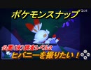 ポケモンスナップ　ヒバニーを撮りたい！　公園（夜）調査レベル２　【New ポケモンスナップ】