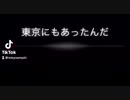 愛と感謝を込めて、思い出の曲を歌いました？「東京にもあったんだ」