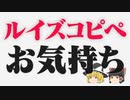 【ゆっくり解説】人工知能でルイズコピペの感情分析してみた【WatsonAPI】