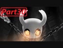 【実況】小さなムシの冒険譚　ホロウナイトpart30
