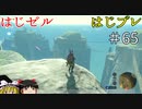 【ゆっくり実況】はじめてのゼルダはじめてのブレワイ part65【ゼルダの伝説ブレスオブザワイルド】