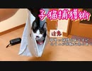 子猫を簡単に捕獲する方法見つけました
