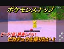 ポケモンスナップ　ピカチュウを撮りたい！　ビーチ（昼）調査レベル１　【New ポケモンスナップ】