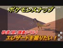ポケモンスナップ　エレザードを撮りたい！　砂漠（昼）調査レベル１　【New ポケモンスナップ】
