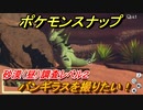 ポケモンスナップ　バンギラスを撮りたい！　砂漠（昼）調査レベル２　【New ポケモンスナップ】