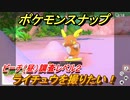 ポケモンスナップ　ライチュウを撮りたい！　ビーチ（昼）調査レベル２　【New ポケモンスナップ】