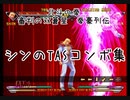 北斗の拳 審判の双蒼星 拳豪列伝 シンのTASコンボ集