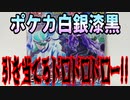 ポケカ白銀漆黒～引き当てろドロドロドロー!!～