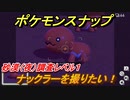 ポケモンスナップ　ナックラーを撮りたい！　砂漠（夜）調査レベル１　【New ポケモンスナップ】