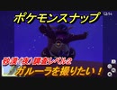 ポケモンスナップ　ガルーラを撮りたい！　砂漠（夜）調査レベル２　【New ポケモンスナップ】