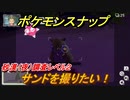 ポケモンスナップ　サンドを撮りたい！　砂漠（夜）調査レベル２　【New ポケモンスナップ】