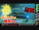 謎の大玉に轢かれる【セルダの伝説_ブレスオブザワイルド】