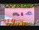 ポケモンスナップ　マッギョを撮りたい！　ビーチ（昼）調査レベル２　【New ポケモンスナップ】