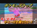 ポケモンスナップ　サニーゴを撮りたい！　海上（昼）調査レベル１　【New ポケモンスナップ】
