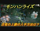 モンハンライズ　迅竜の上鱗の入手方法は？　＃３７５【ＭＨＲ】