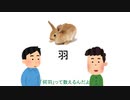 うさぎの数え方