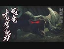 【モンスターハンターライズ】疾風迅竜に挑む！