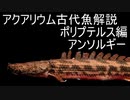 【ゆっくり解説】現生の古代魚解説　ポリプテルス編　下顎系part3　アンソルギー【アクアリウム】