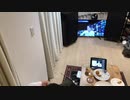 家族で時事放談ｗ　241日目　【症状を抑える免疫抑制剤投与】安倍晋三前内閣総理大臣【魚屋のおっチャンネル】