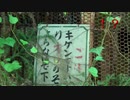 《2018年 廃道の奥に…》#10 ~完結編~ 『遺体を発見した、その先に…。』 【廃墟探検】