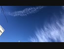 無条件の波動３９１　～愛の波動を感じて～