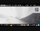 神々しいニャンコ