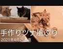 2021年4月30日昼手作りツナ風ぶり