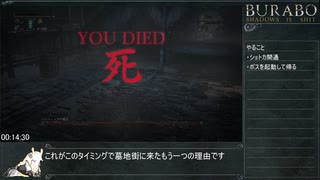 【Bloodborne】カンスト全ボスノーダメージRTA 1時間22分15秒 1/3【VOICEROID実況】