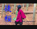 【桜雅】徒桜【踊ってみた】