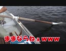 クニ君とハゼ釣り　後半戦【もっち釣動組合#８４】