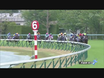 2021年　天皇賞（春）【阪神開催】