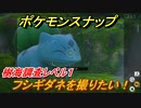 ポケモンスナップ　フシギダネを撮りたい！　樹海調査レベル１　【New ポケモンスナップ】