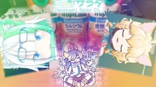 Vtuber Tylenol